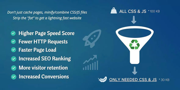 Asset CleanUp Pro WordPress plugin dashboard showing asset optimization controls for CSS and JavaScript files