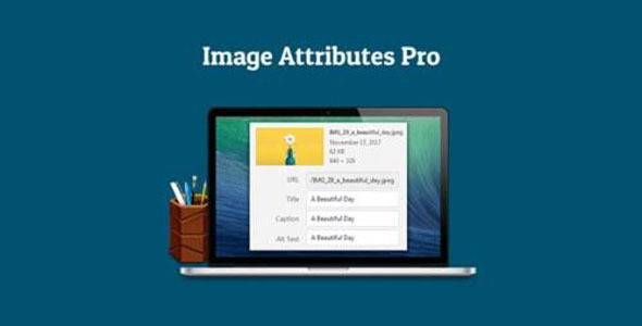 Auto Image Attributes Pro WordPress plugin for automated image metadata management