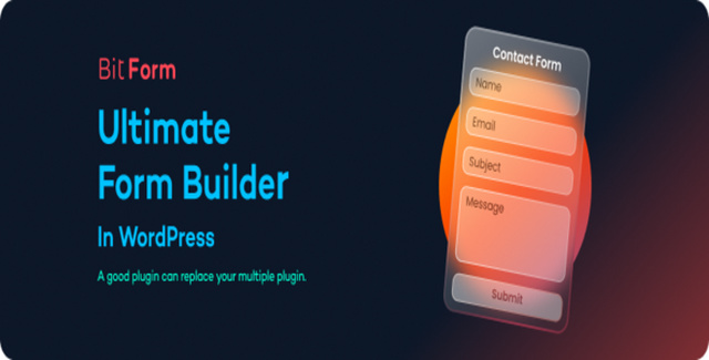 Bit Form Pro WordPress drag and drop form builder interface showing field types and conditional logic options