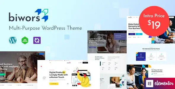 Biwors modern multipurpose WordPress theme dashboard preview