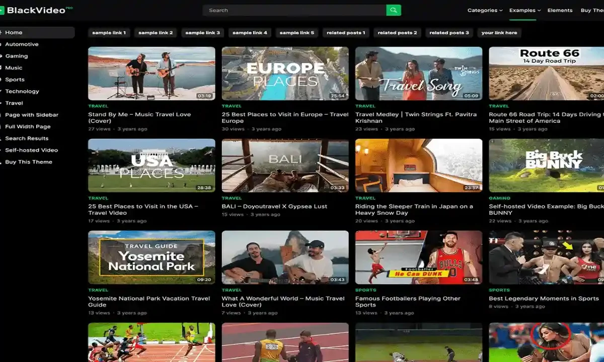 BlackVideo Pro responsive WordPress video sharing theme homepage preview