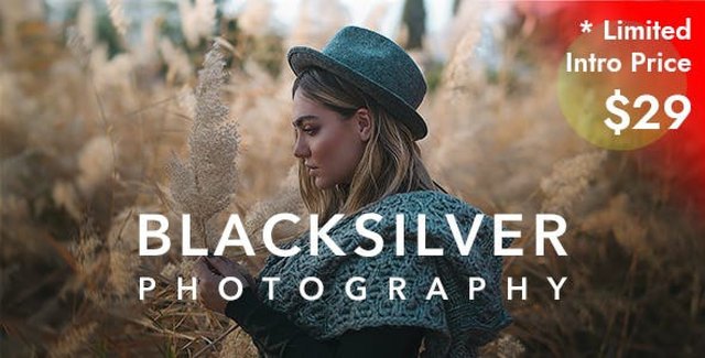 Blacksilver photography portfolio WordPress theme with responsive gallery layouts
