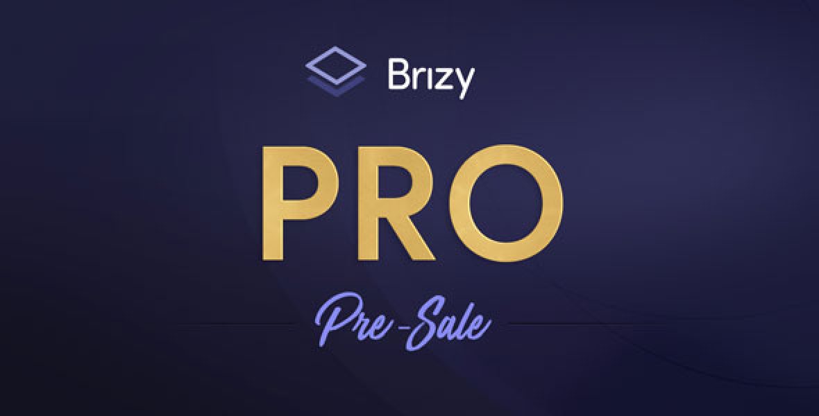 Brizy Pro WordPress builder plugin interface with dynamic content and premium design tools
