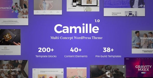 Camille multi-concept WordPress theme dashboard showing demo options and page builder interface