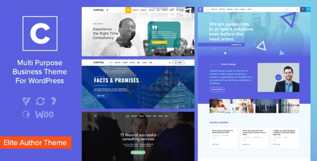 Capital multi purpose business WordPress theme preview showcasing a professional corporate website layout