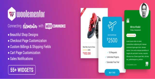 CoDesigner Pro premium Woolementor feature unlocker dashboard preview