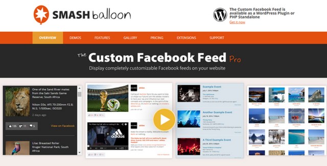 Custom Facebook Feed Pro WordPress plugin interface showing Facebook posts displayed on a website