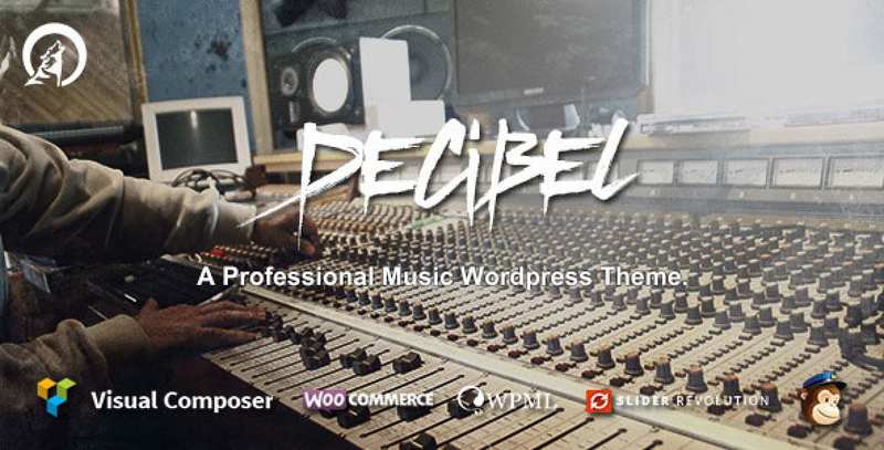 Decibel music WordPress theme demo showing musician website layout with discography and tour dates