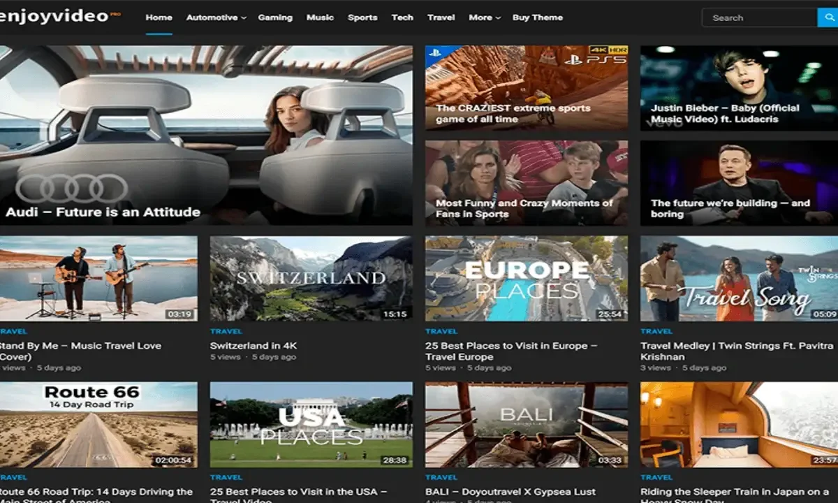 EnjoyVideo Pro responsive WordPress video theme interface for video sharing websites