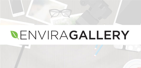 Envira Gallery WordPress plugin dashboard showing drag-and-drop gallery builder with responsive photo and video gallery preview