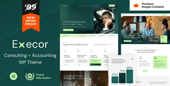 Execor accounting and consulting WordPress theme demo screenshot showing professional homepage design in Elementor Pro
