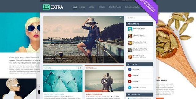 Extra WordPress magazine theme preview showcasing Divi Builder layout options