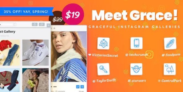Grace Instagram feed WordPress plugin displaying a customizable social media gallery wall