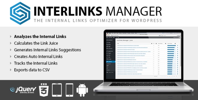 Interlinks Manager WordPress internal linking plugin dashboard showing link analysis and link juice data