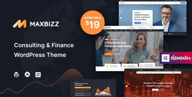 Maxbizz financial consulting WordPress theme homepage demo preview