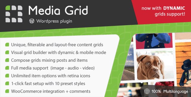Media Grid WordPress portfolio plugin interface showing responsive masonry grid layouts with portfolio items