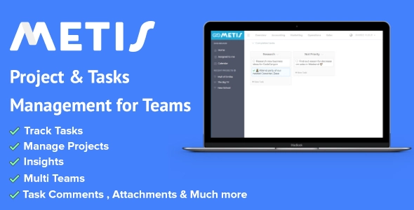 Metis team collaboration and project management platform interface