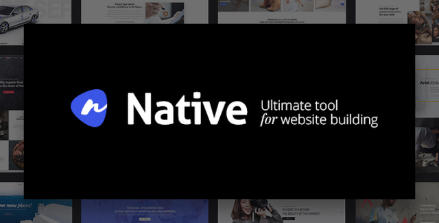 Native multipurpose WordPress theme dashboard showing demo library and visual builder interface