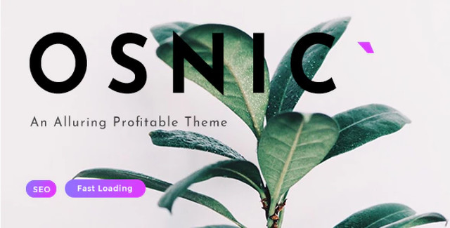Osnic AdSense WordPress theme dashboard showing ad channel management interface