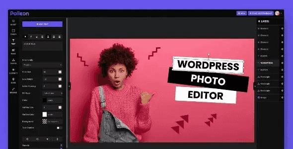 Palleon WordPress image editor plugin showing the browser-based editing interface with layers, tools, and media library panel