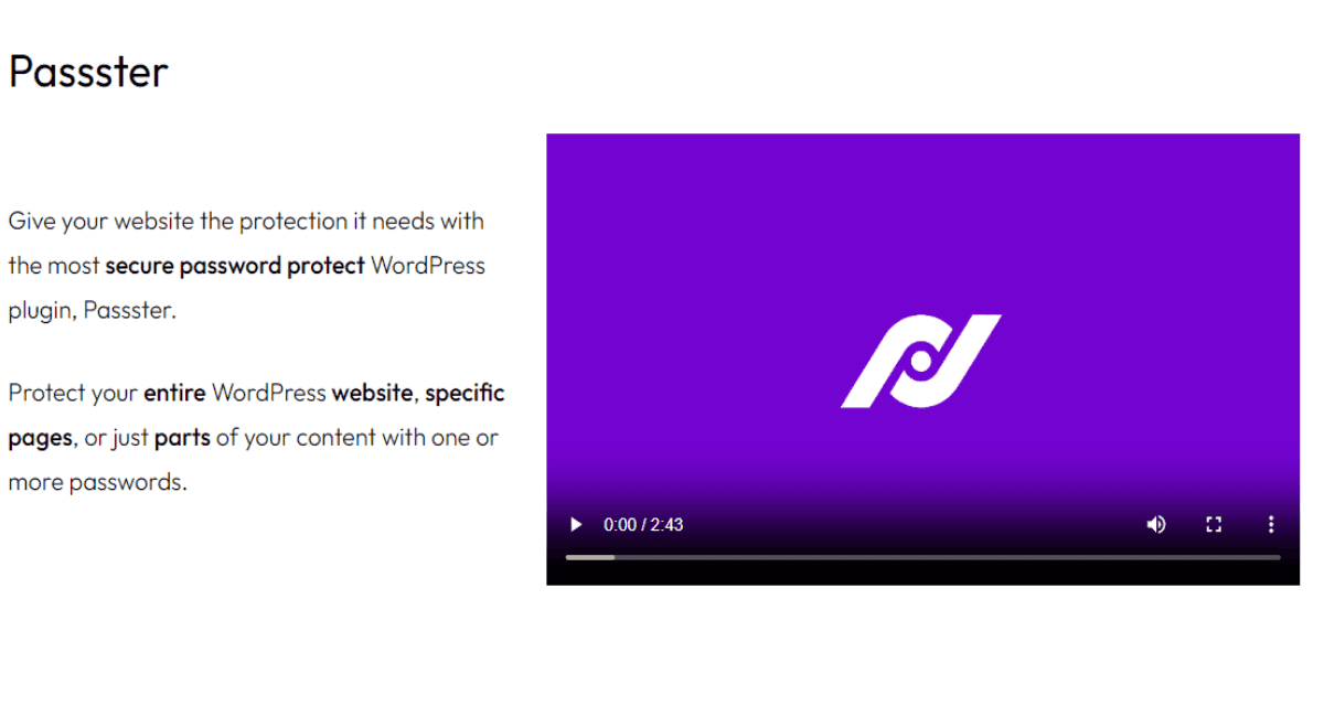 Passster Premium WordPress Plugin password protection and content restriction dashboard interface