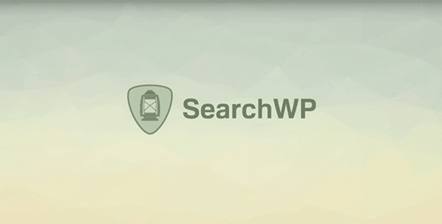 SearchWP Premium WordPress search plugin interface showing custom field indexing and weight controls