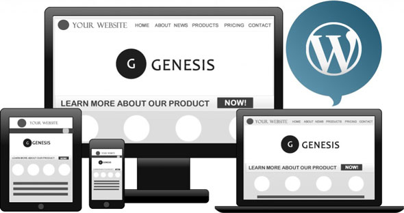 StudioPress Genesis Framework WordPress theme dashboard