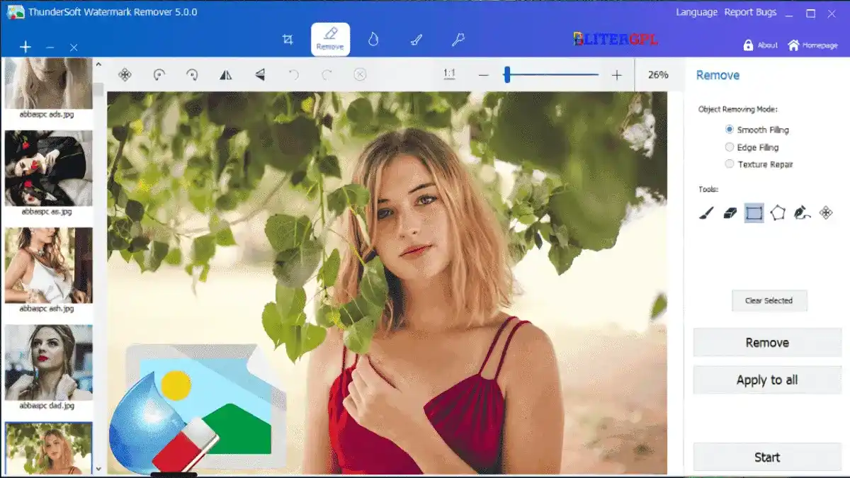 ThunderSoft Watermark Image Remover software interface for removing watermarks from photos on Windows