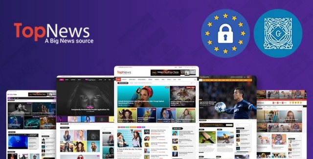 TopNews WordPress theme preview for news and magazine websites