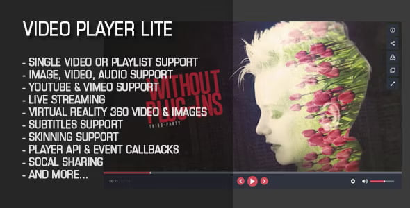 Video Player Lite Script HTML5 video player interface with customizable playback controls