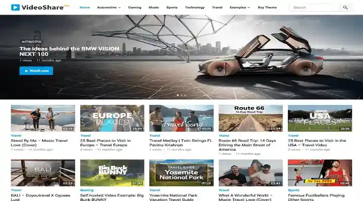 VideoShare Pro responsive video sharing WordPress theme dashboard and layout