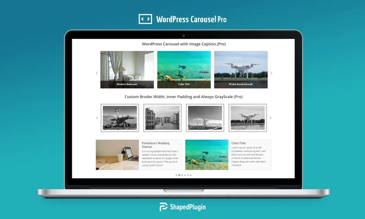 WP Carousel Pro WordPress plugin for building responsive carousels, sliders, and galleries