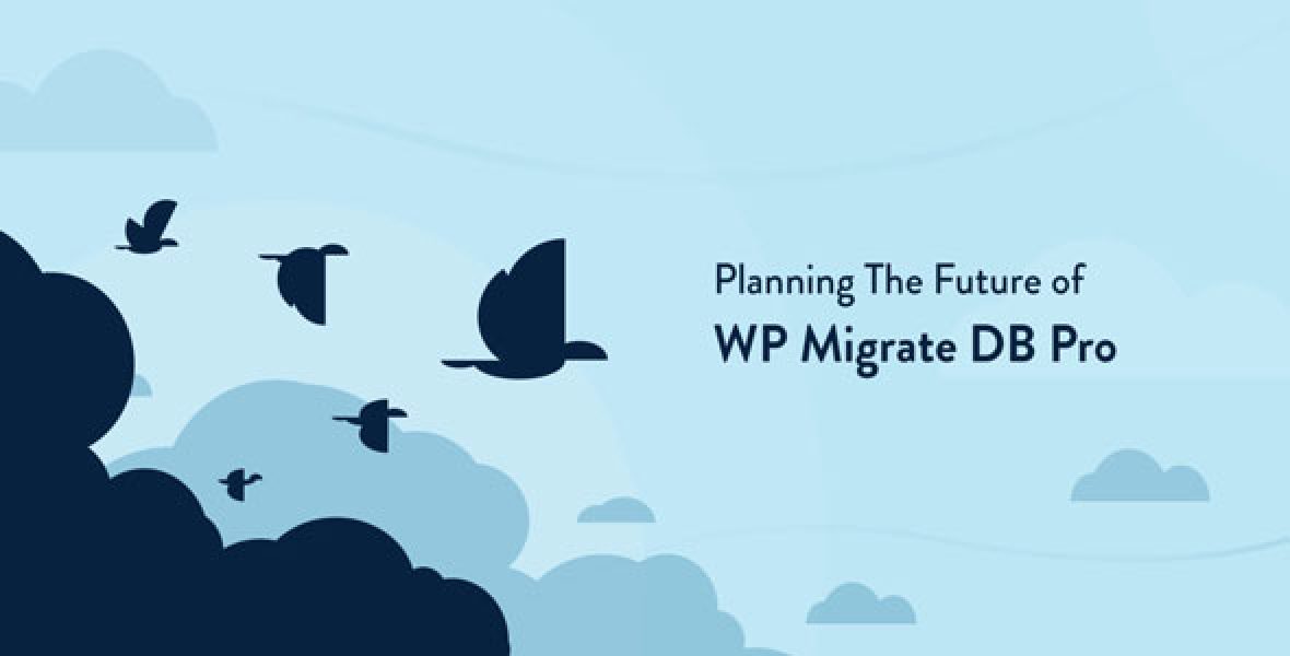 WP Migrate DB Pro WordPress database migration plugin dashboard interface