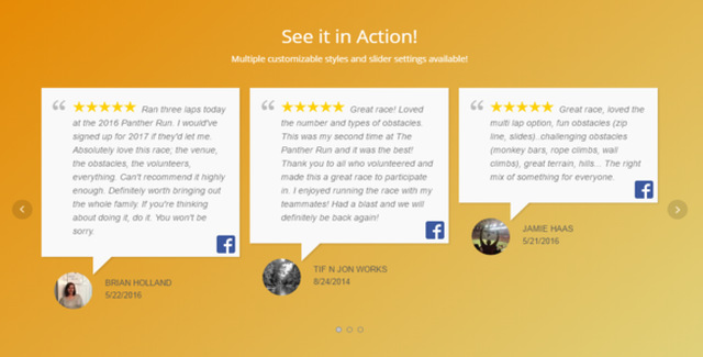WP Review Slider Pro WordPress review plugin dashboard displaying customer reviews from multiple sources