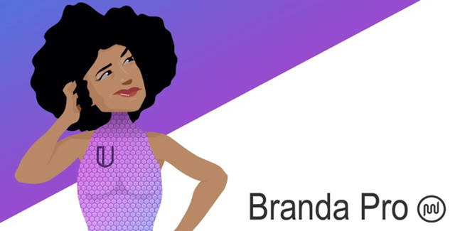 Branda white label WordPress plugin admin dashboard customization interface