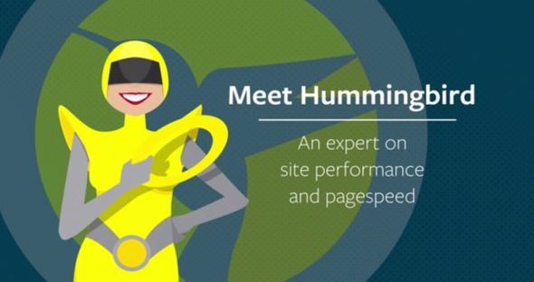Hummingbird Pro WordPress plugin dashboard showing performance analysis and optimization tools