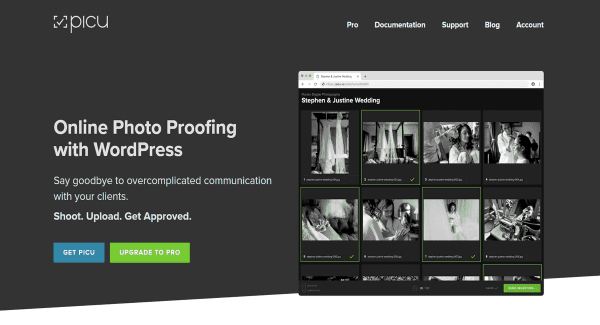 Picu Pro WordPress online photo proofing plugin interface