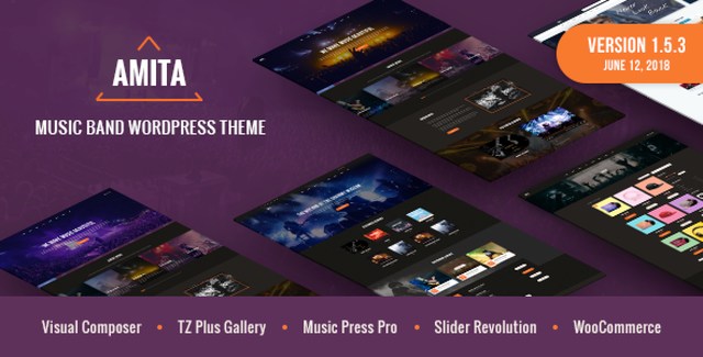 AMITA music band WordPress theme demo showing artist website layout