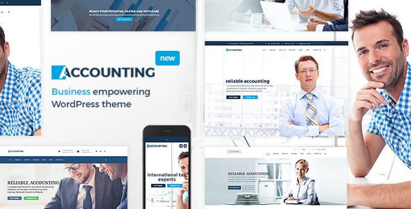 Accounting WordPress theme demo showing professional business website layout