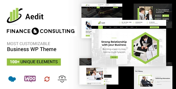 Aedit corporate consulting WordPress theme demo on desktop