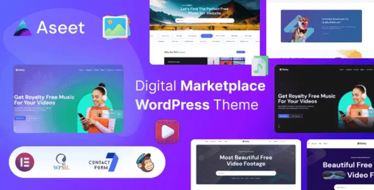Aseet digital marketplace WordPress theme preview showcasing photo and video content layout