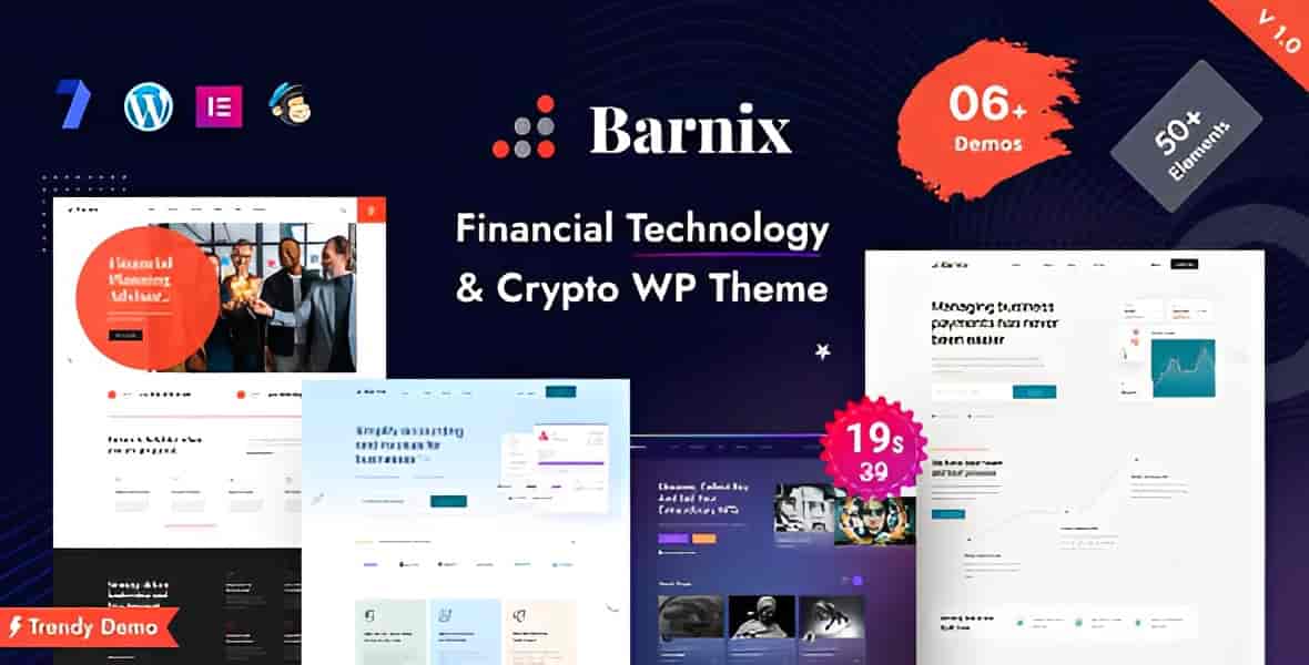 Barnix finance consulting WordPress theme demo preview