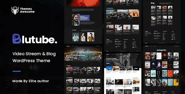 Blutube video streaming WordPress theme dashboard showing creator profiles and video content layout