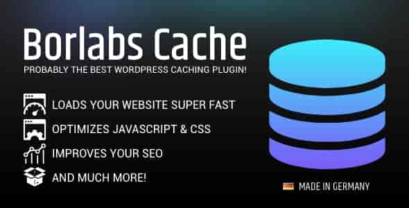 Borlabs Cache WordPress caching plugin interface