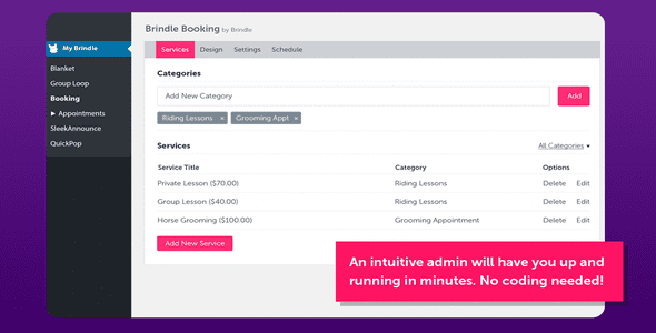 Brindle Booking WordPress appointment booking plugin interface