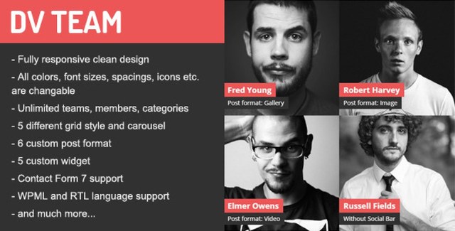 DV Team responsive team showcase plugin WordPress grid layout preview