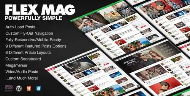 Flex Mag responsive WordPress news and magazine theme demo layout