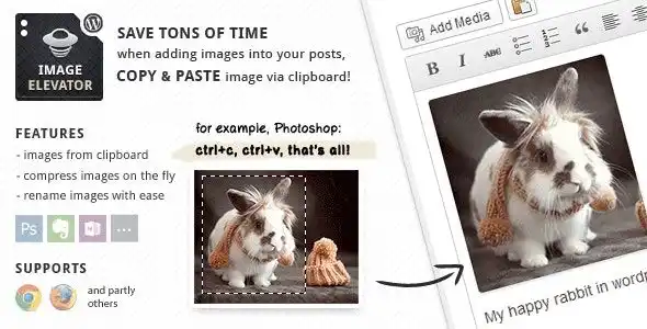 Image Elevator WordPress plugin interface showing image pasting functionality