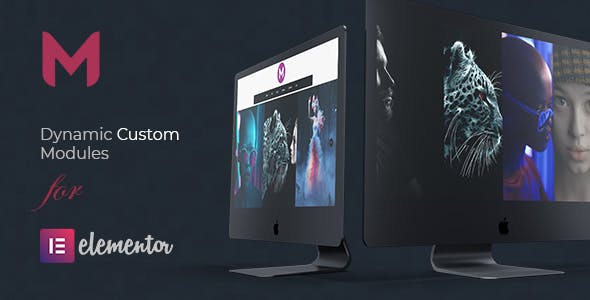 Modulify Elementor modules addon interface showing custom layout options