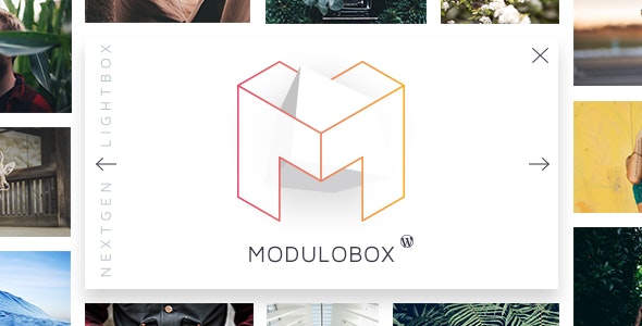 ModuloBox WordPress lightbox plugin showing responsive gallery with images and video on mobile and desktop